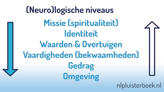 Neurologische Niveaus van NLP